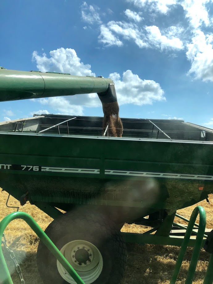 Unloading grain